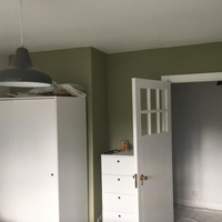 green walls in kitchen