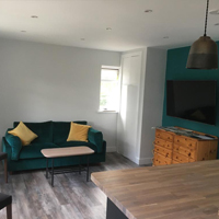 green painted lounge with green sofa